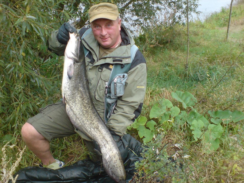 nachytano.cz